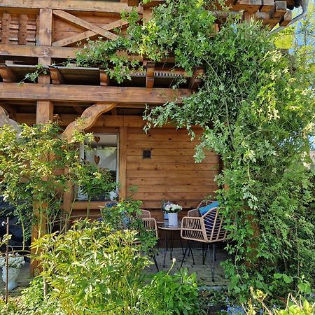 Ferienhaus Eifelgluehen Μονσάου Εξωτερικό φωτογραφία